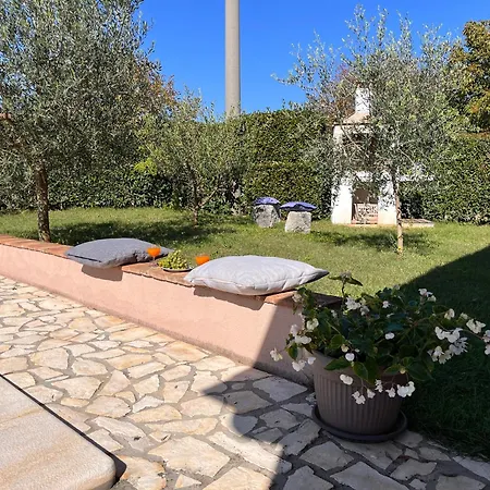 Mirela With A Comfortable Garden And Pool *