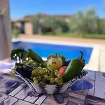 Mirela With A Comfortable Garden And Pool Villa Grandići