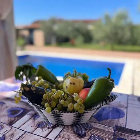 Mirela With A Comfortable Garden And Pool Villa Grandici